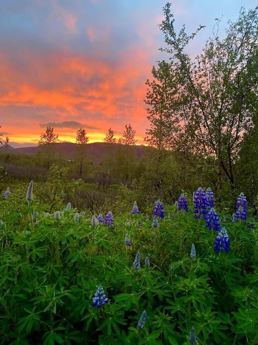 Luxury Cottage Located In The Golden Circle, Mountain View! Laugarvatn Bagian luar foto